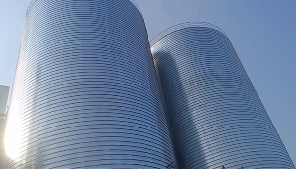 中宁2座混凝土高架卷板仓